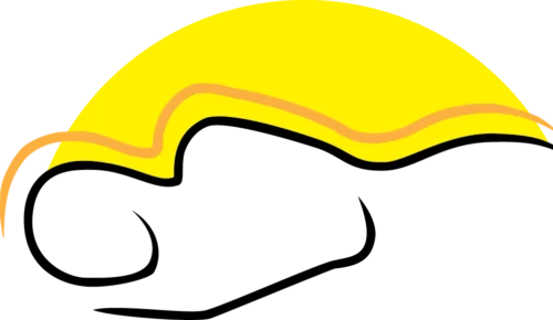 Sleep & Wellness Centers