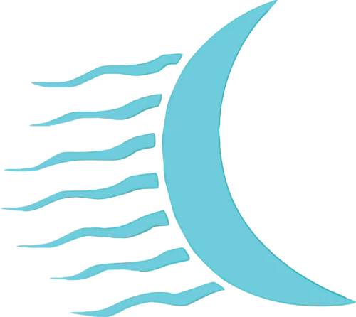 Sleep Telemedicine Services, Inc.